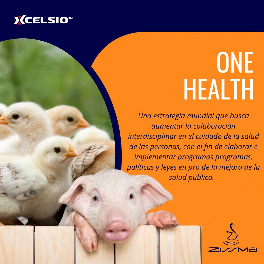One Health